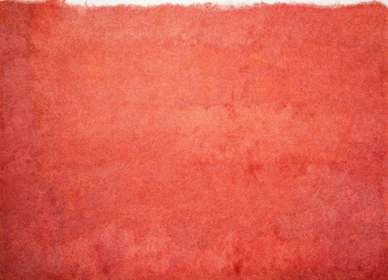 Between Grace and Resistance, 2026. Gouache and ink on canvas by Amna Manzoor — dense red linework built through repetition.