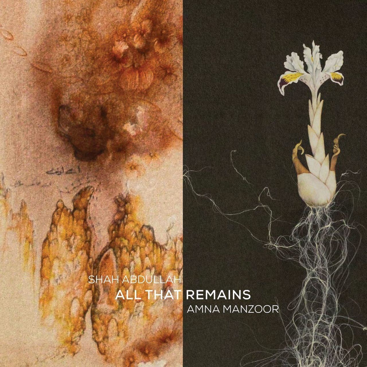 Catalogue cover for All That Remains, with a pale iris above a hanging root of threads