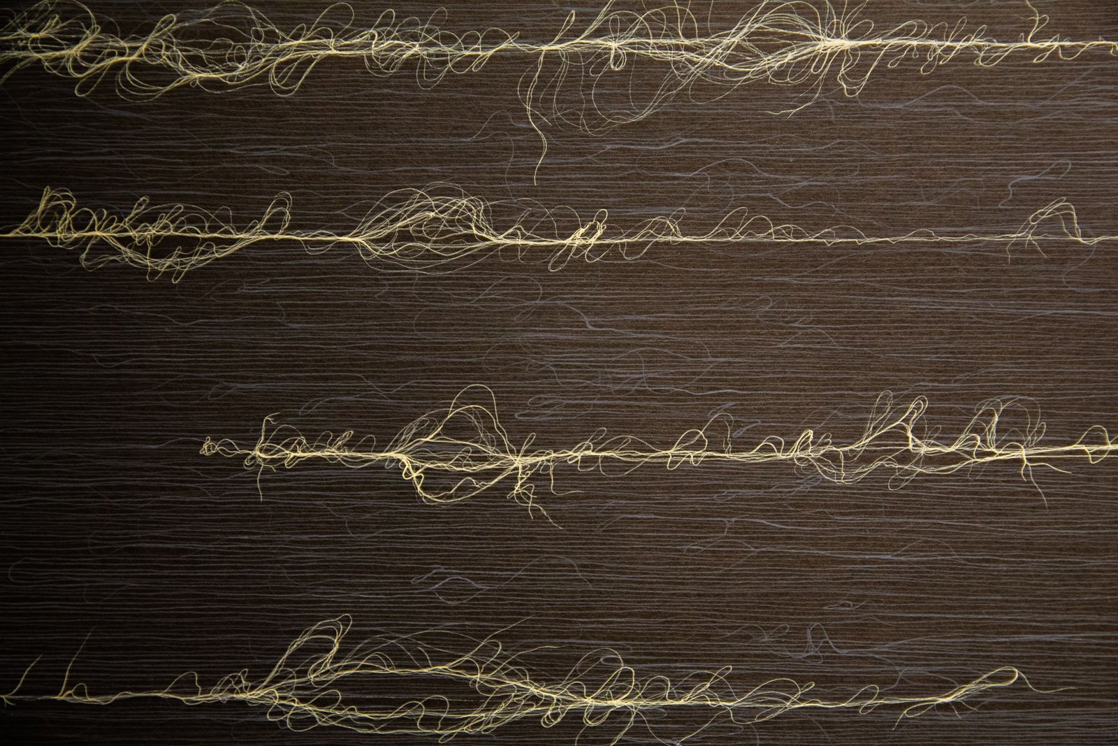 Close view of pale thread-like lines crossing a dark painted surface