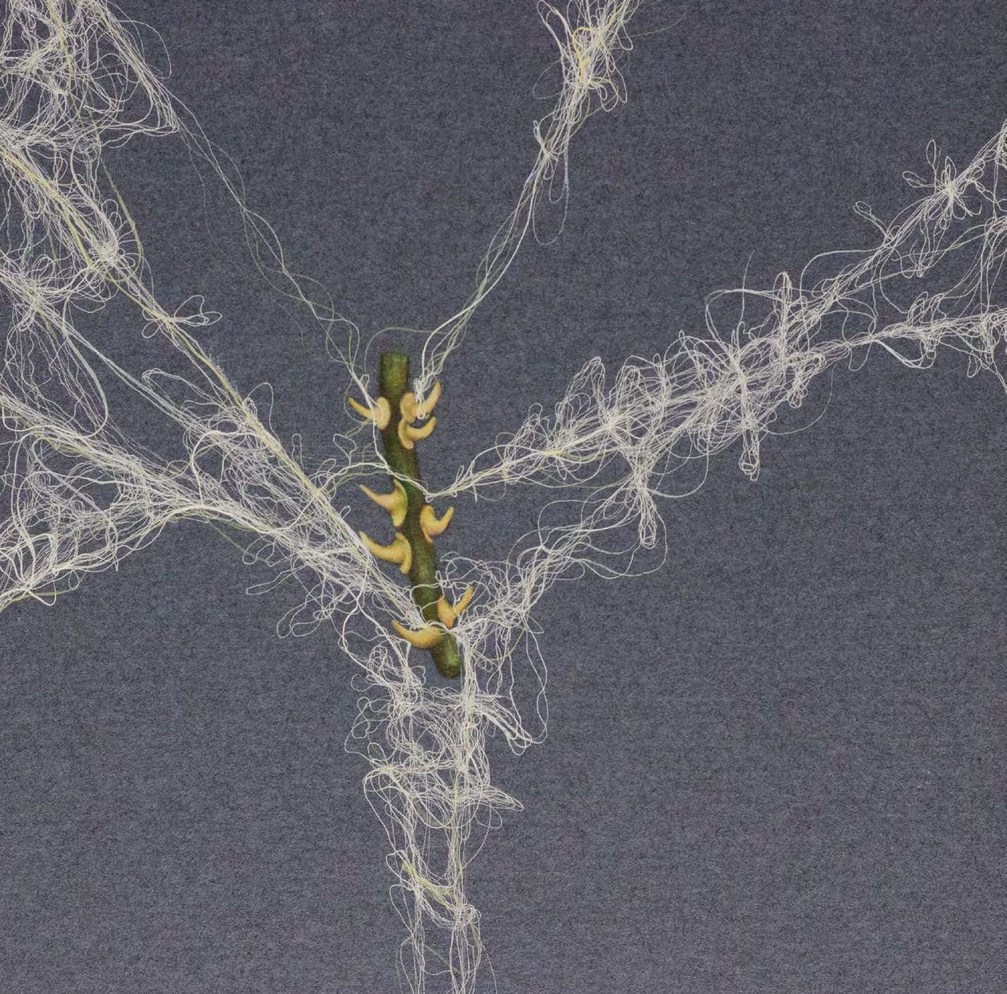 Close detail of Entangled Self