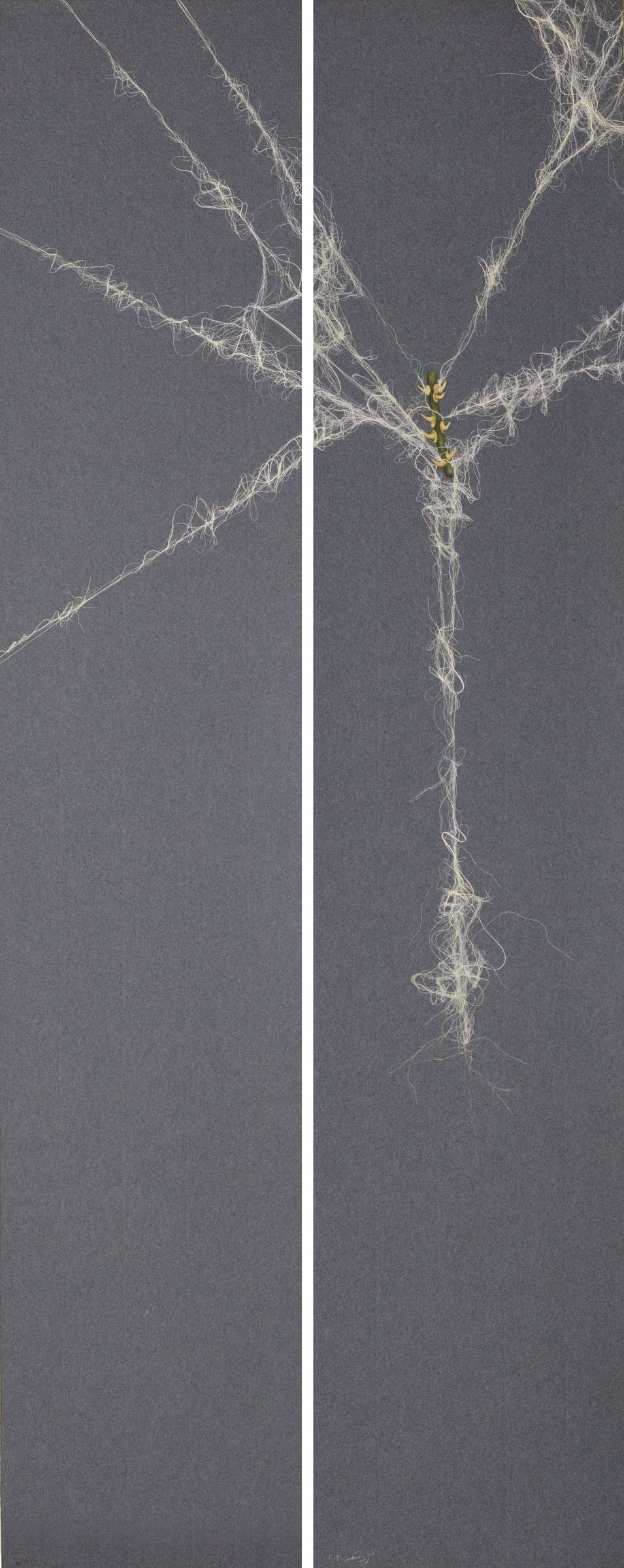 Entangled Self, 2019