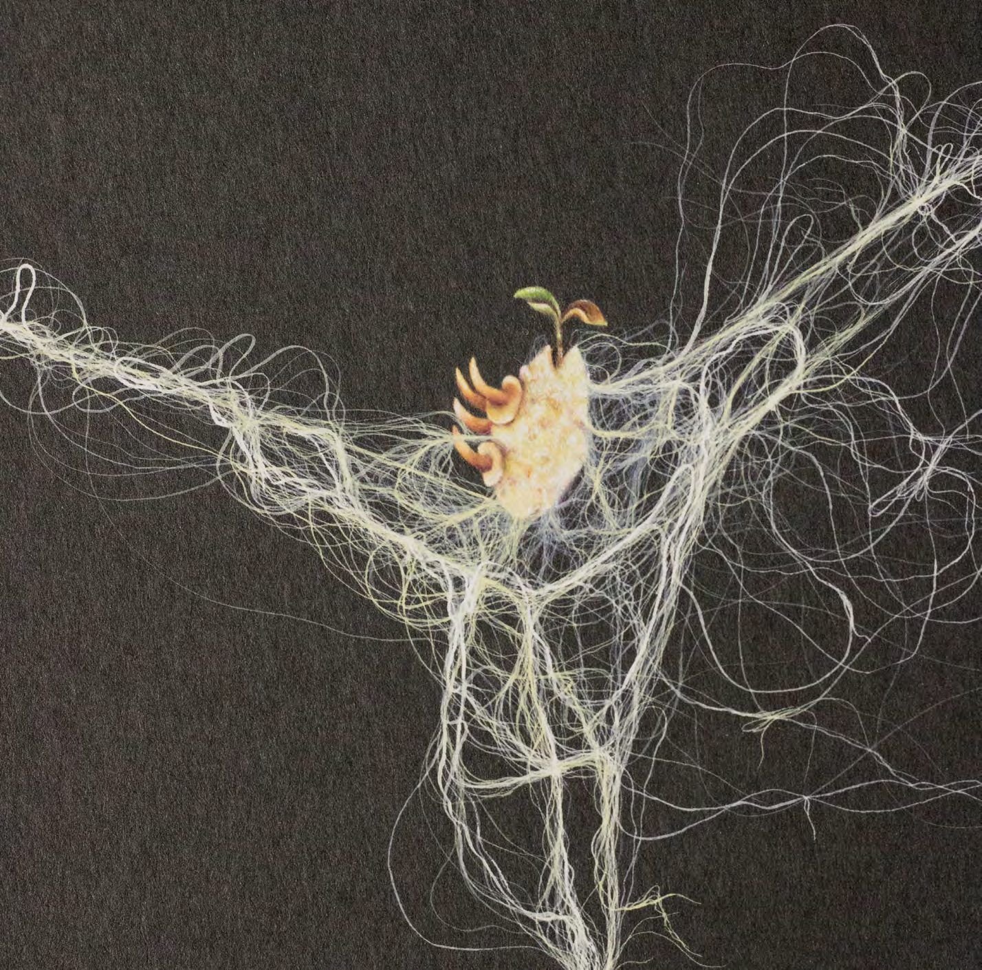 Close detail of Screams of Stillness I