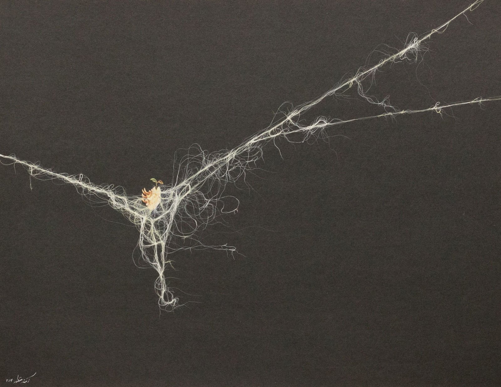 Screams of Stillness I, 2019