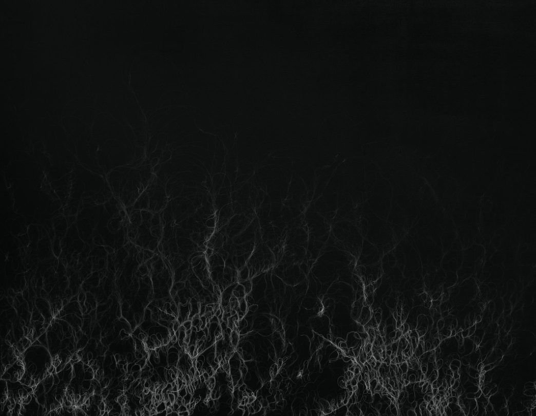 The Emergence, 2024
