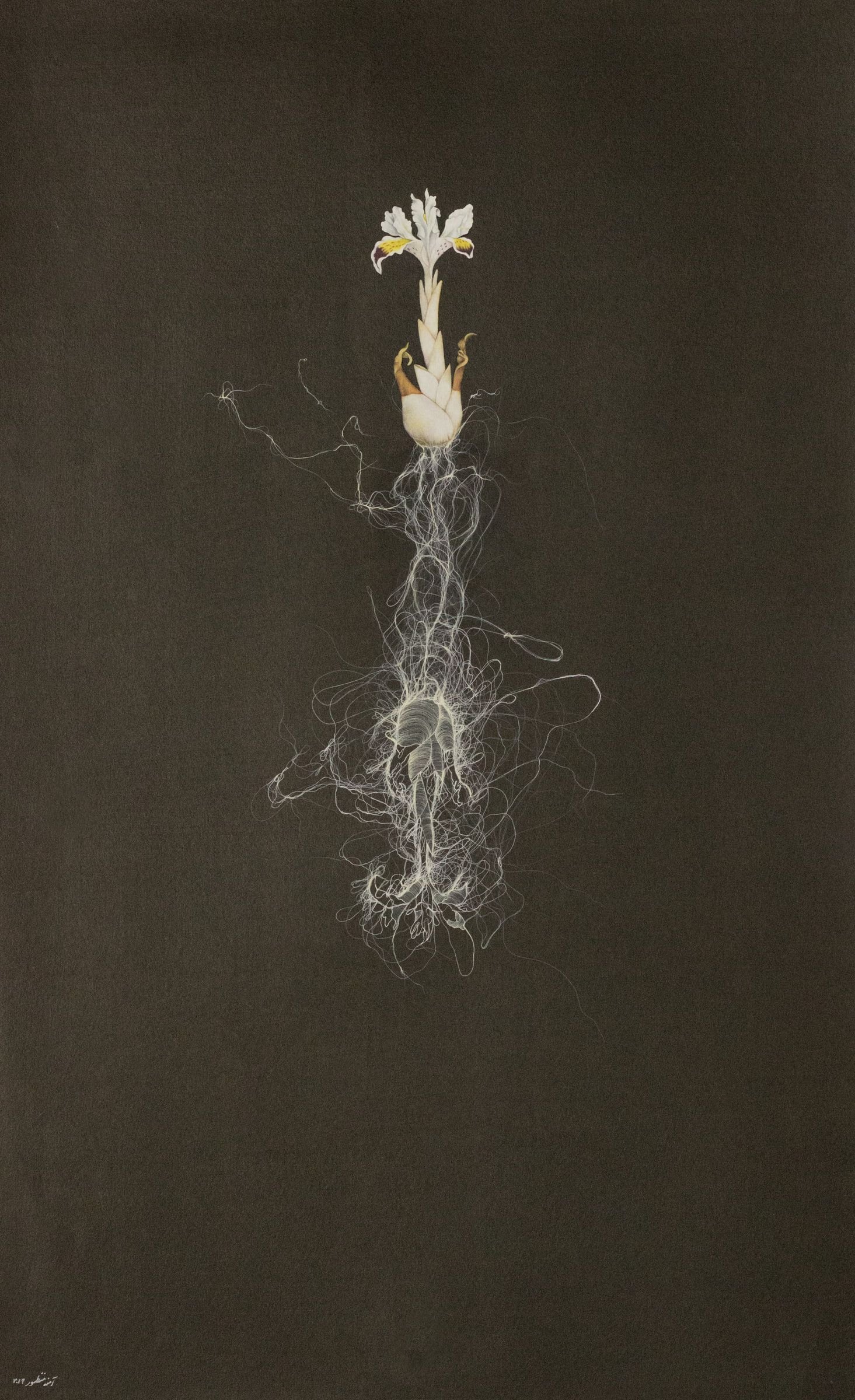 The Emotional Reparation II, 2019. Gouache on wasli by Amna Manzoor — a pale flower rising above a hanging mass of delicate strands.