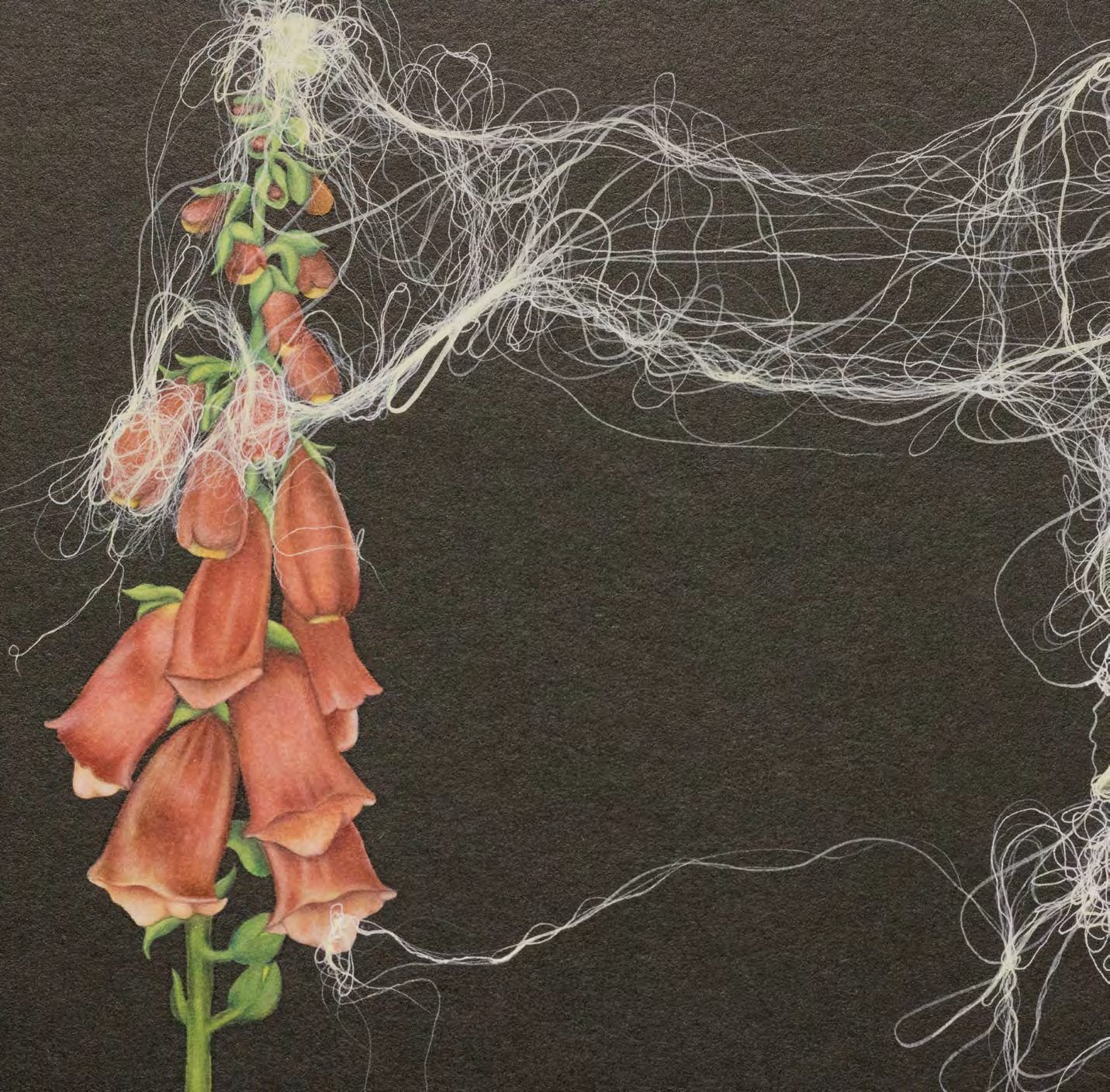 Close detail of The Emotional Reparation III