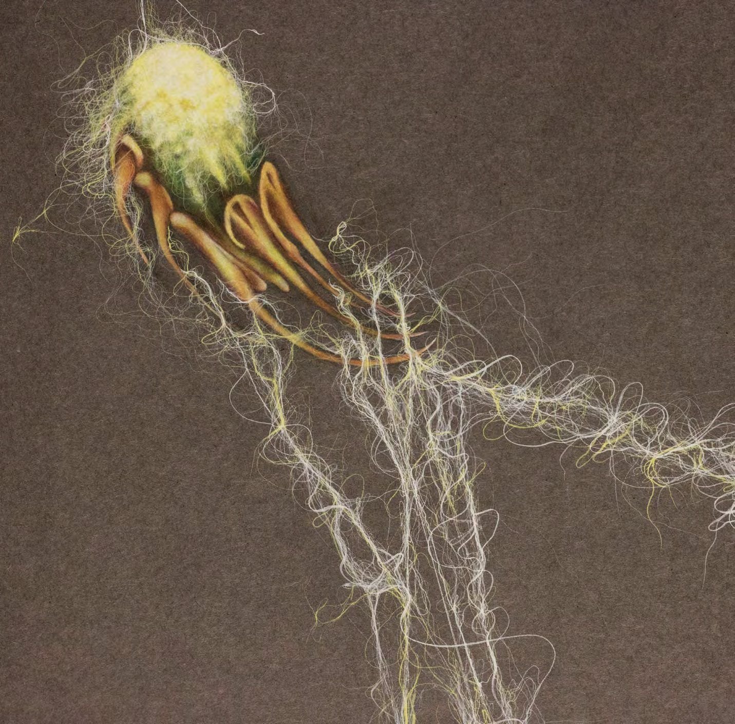 Close detail of The New Emergence I (diptych)