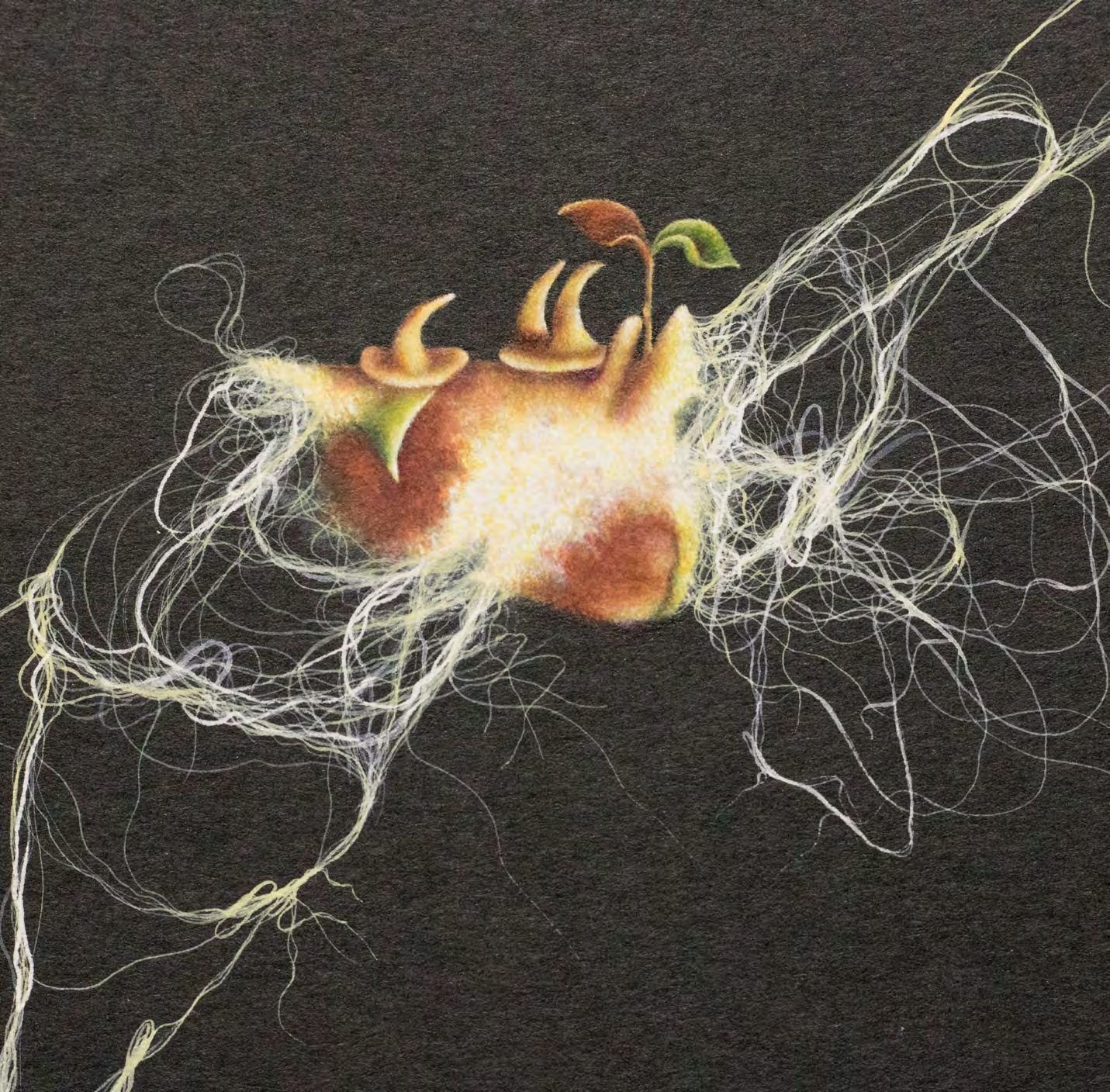 Close detail of The New Emergence II