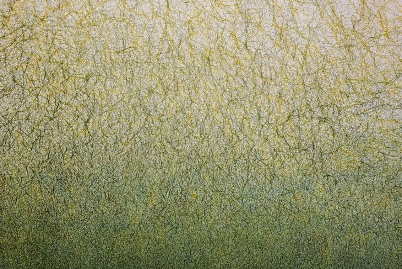 Untitled (diptych), 2026