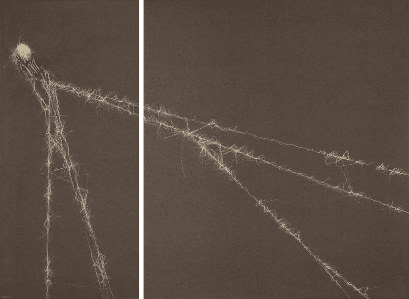 The New Emergence I (diptych)